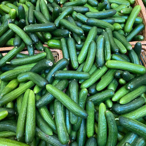 BABY CUCMBER   LEBANESE 3KG BOX شمسي