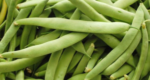 لوبيا بادريه كيلو