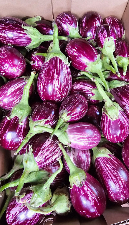 7 BOXES MAKDOUS EACH BOX 3KG TO 4KG