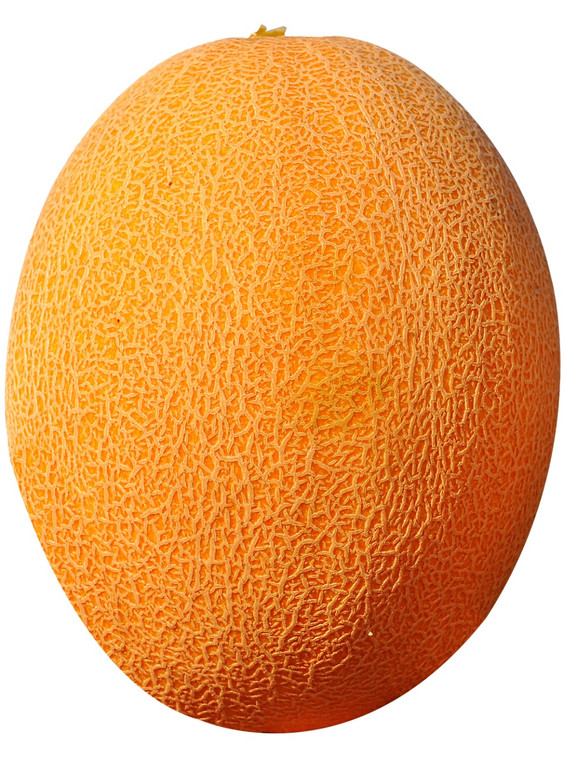 YELLOW MELLON 1KG  لبناني